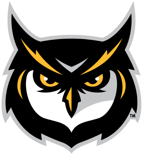 Kennesaw State Owls 2012-Pres Alternate Logo v3 diy DTF decal sticker